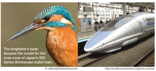 Kingfisher beak and bullet train